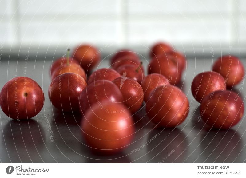 Reife, rote Mirabellen in der Küche Lebensmittel Frucht Ernährung Bioprodukte Vegetarische Ernährung Herbst frisch Gesundheit lecker rund saftig Sauberkeit süß