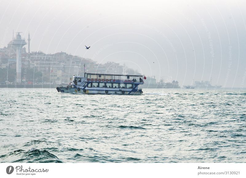 das letzte Boot Tourismus Nebel Meer Wasserstraße Istanbul Bosporus Fähre fahren Schwimmen & Baden hell maritim Geschwindigkeit schön weiß authentisch Fernweh
