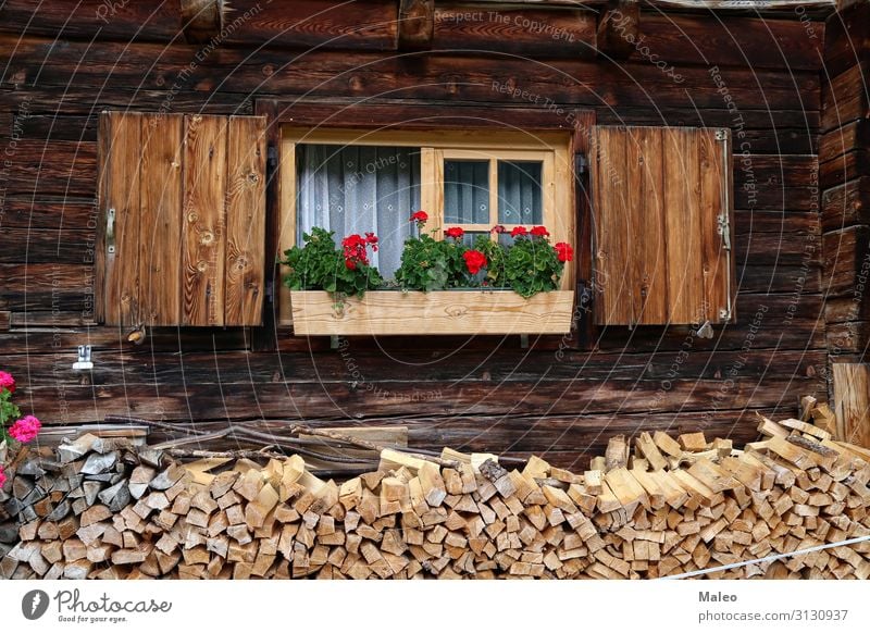 Schöne Pelargonie auf dem Fenster eines Holzhauses Kasten Architektur Außenaufnahme Blume Dekoration & Verzierung Glas Haus Wohnung Wand grün alt Fassade rot