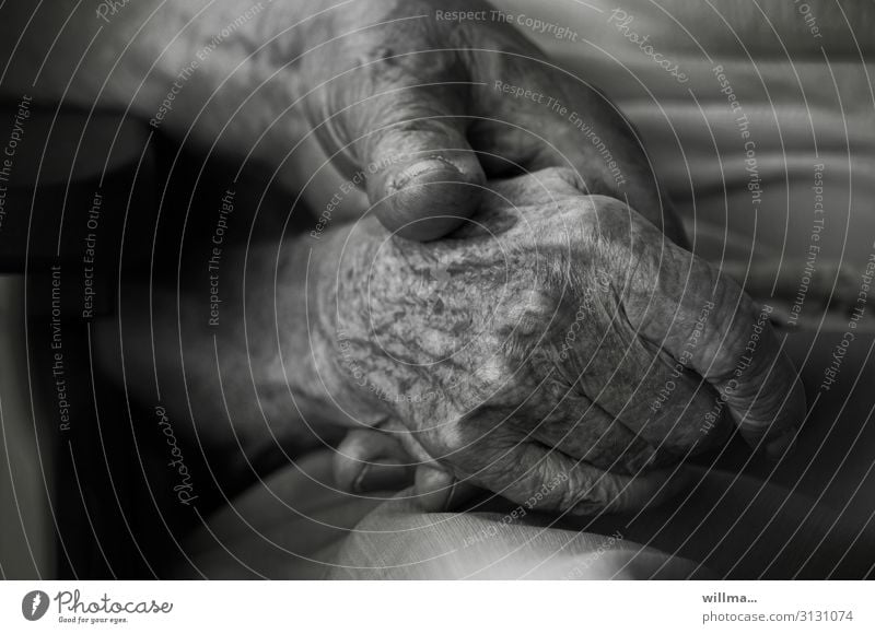 Zwei Hände alter Menschen, Zusammengehörigkeit Weiblicher Senior Frau Männlicher Senior Mann Partner Hand Finger Altersflecken Hautfalten 60 und älter Hoffnung