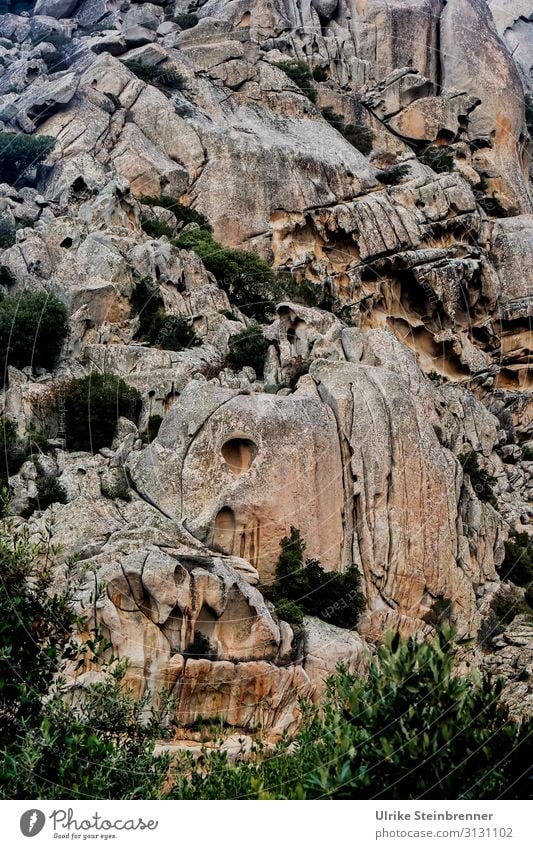Felsformation II Felsen Sardinien Stein Landschaft Erosion verwittert Gestein zerklüftet Risse Spalten Felsspalten Monolith Monte Pulchiana Naturdenkmal