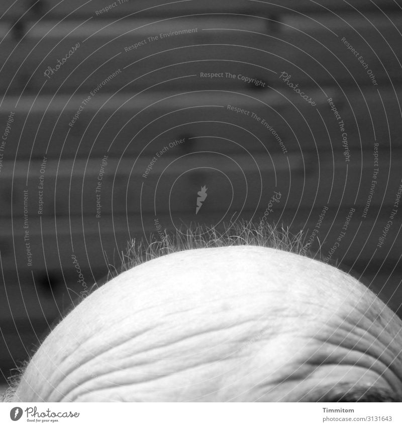 !Trash! 2019 | Haarenden schön Haare & Frisuren Mensch Mann Erwachsene Kopf Armut ästhetisch grau schwarz weiß Gefühle Vergänglichkeit Wachstum Schwarzweißfoto