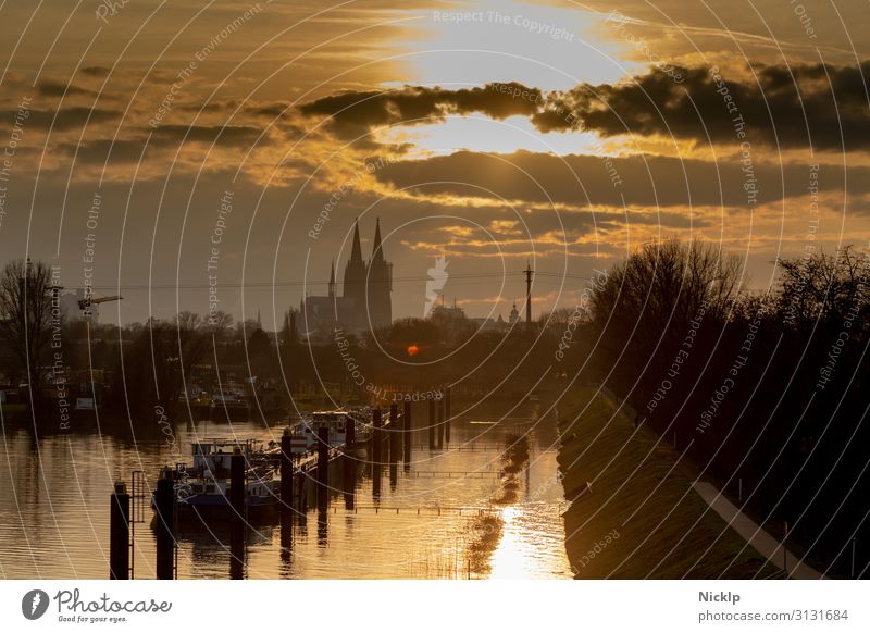 Blick auf Kölner Dom vom Köln-Mülheimer Hafen Himmel Wolken Sonne Sonnenaufgang Sonnenuntergang Sonnenlicht Herbst Winter Schönes Wetter Fluss Rhein