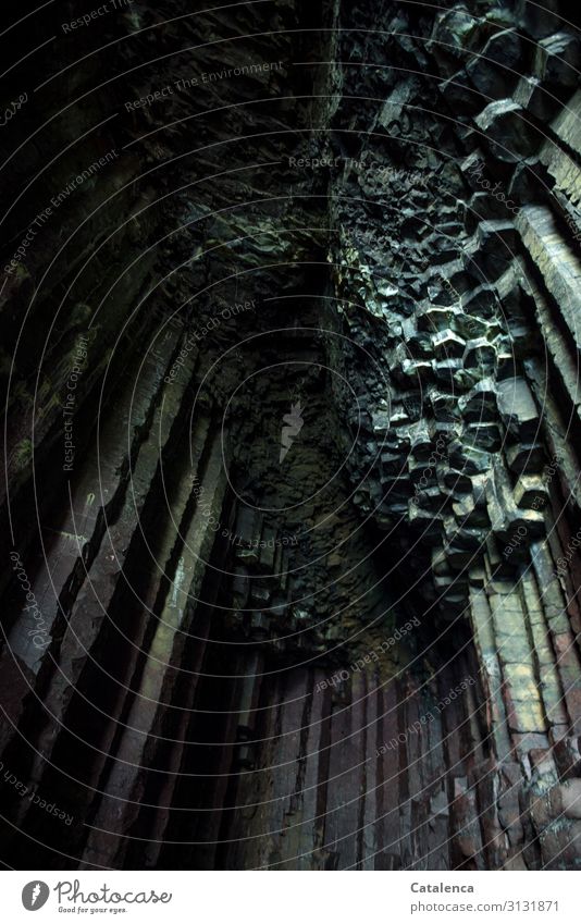 Surreal | Die hexagonale Struktur des Säulenbasalts Natur Felsen Form Gestein natürlich sechseckig Tag Tageslicht Höhle Stein Grau außergewöhnlich Schwarz