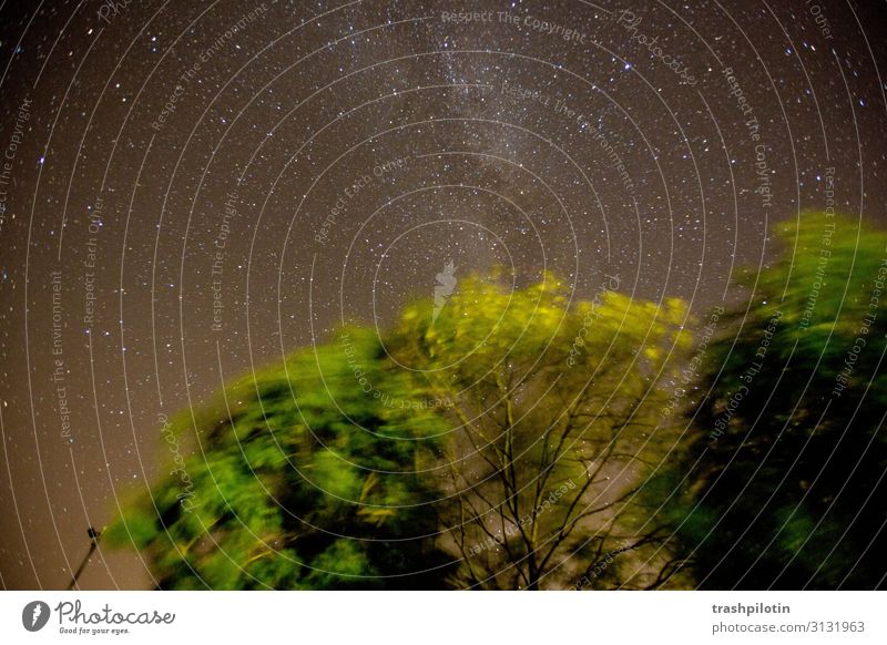 Sterne Umwelt Natur Landschaft Urelemente Luft Erde Himmel Nachthimmel Baum Wald Geschwindigkeit Hoffnung Milchstrasse Langzeitbelichtung Farbfoto Außenaufnahme