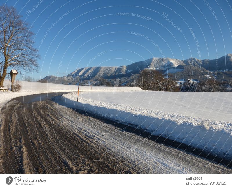 Eiszeit | Winterausrüstung erforderlich... Landschaft Wolkenloser Himmel Sonnenlicht Schönes Wetter Frost Schnee Baum Alpen Berge u. Gebirge Samerberg