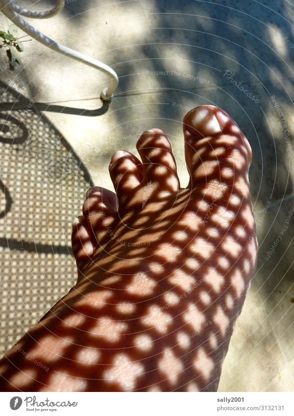 Hautsache | natürliches Tattoo... feminin Fuß Sonnenlicht Sommer leuchten ästhetisch außergewöhnlich Muster Barfuß Schatten Farbfoto Außenaufnahme Licht
