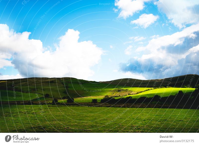 grüne Wiesen, blauer Himmel und ein Spiel aus Licht und Schatten schatten Lichtspiel Schattenspiel wales Irland natur draußen wolken weiß schön ruhe verlassen