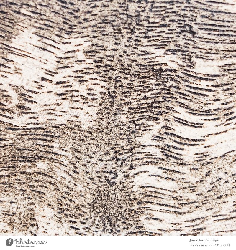 geschwungene Holztextur Snowboard ästhetisch Hintergrundbild Strukturen & Formen Holzbrett Herbst Muster Tisch natürlich hell Maserung Wellenform Farbfoto