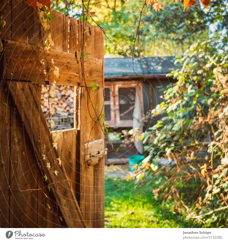 Blick durch eine Holztür im Garten im Herbst Architektur Hintergrundbild schön Scheune Schuppen Lagerschuppen mehrfarbig Textfreiraum oben Textfreiraum unten