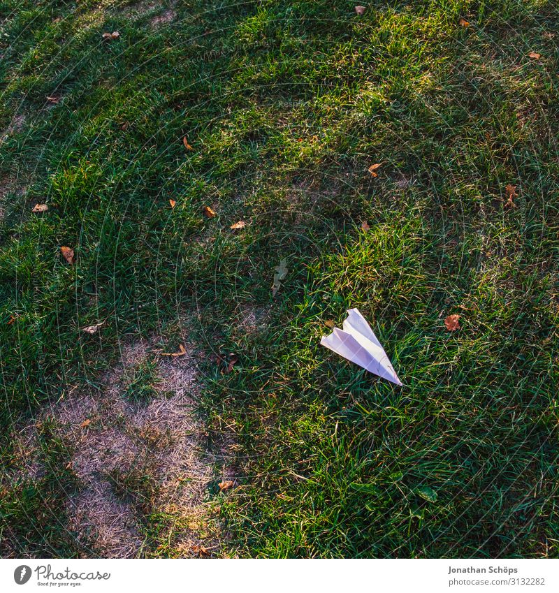 Papierflieger auf der Wiese Herbst Flugzeug mehrfarbig Textfreiraum oben träumen Falte Garten Gartenarbeit Gras Außenaufnahme Spielzeug Textfreiraum unten