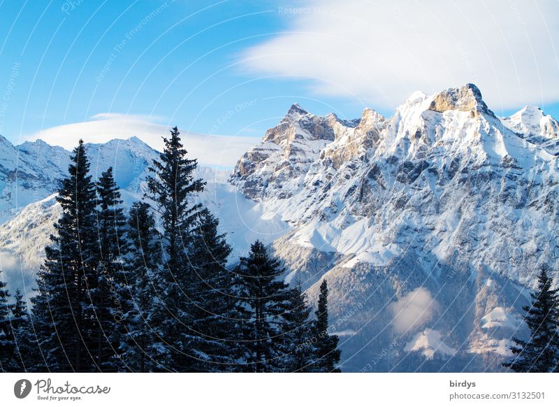 Alpenwelt Natur Landschaft Himmel Wolken Winter Klimawandel Schönes Wetter Baum Tanne Berge u. Gebirge Gipfel Schneebedeckte Gipfel authentisch hoch kalt