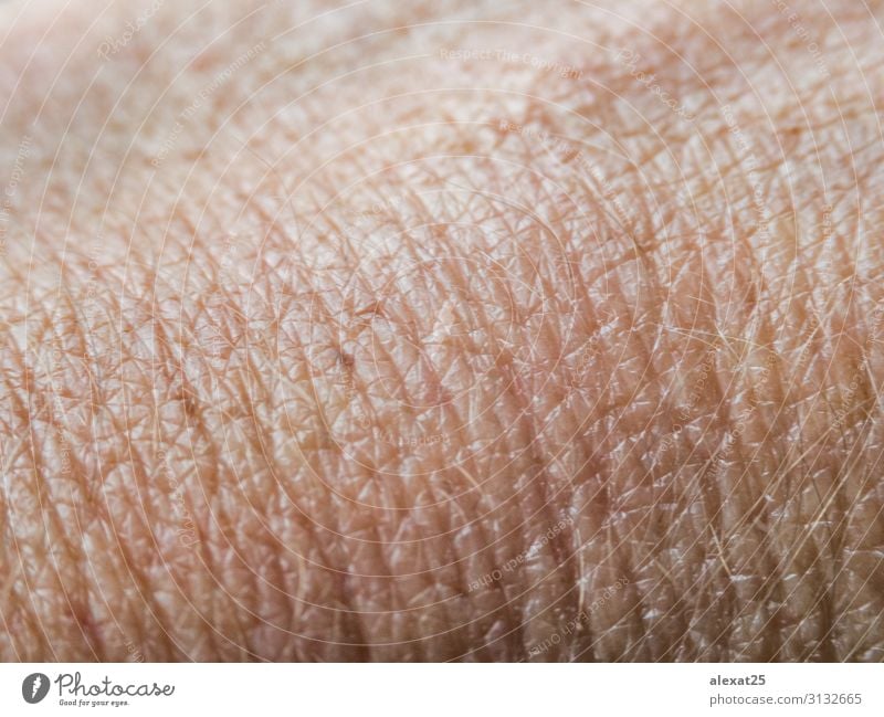 Haut-Makrotextur Design Körper Mensch Frau Erwachsene Sauberkeit rosa Hintergrund Pflege Kaukasier schließen Teint Dermatologie ectoderm Gesundheit Menschen