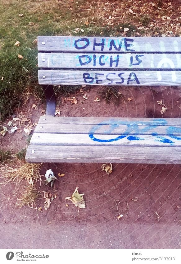 Erkenntnis | Geschriebenes Sand Schönes Wetter Park Wiese Parkbank Bank beschmiert Schriftzeichen Graffiti Willensstärke Leidenschaft Wachsamkeit Wahrheit