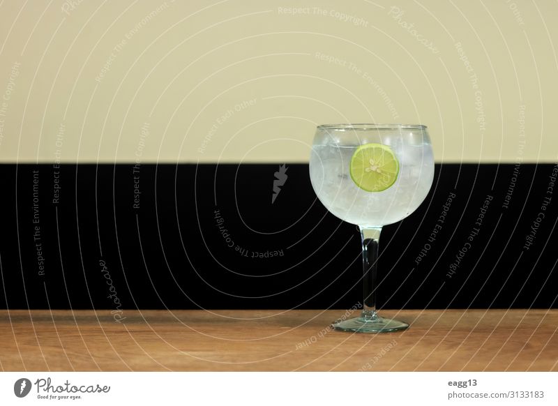 Einfaches Getränk aus Gin Tonic mit Zitronenscheibe Frucht Erfrischungsgetränk Limonade Saft Alkohol Lifestyle Erholung Sommer Tisch Feste & Feiern Coolness