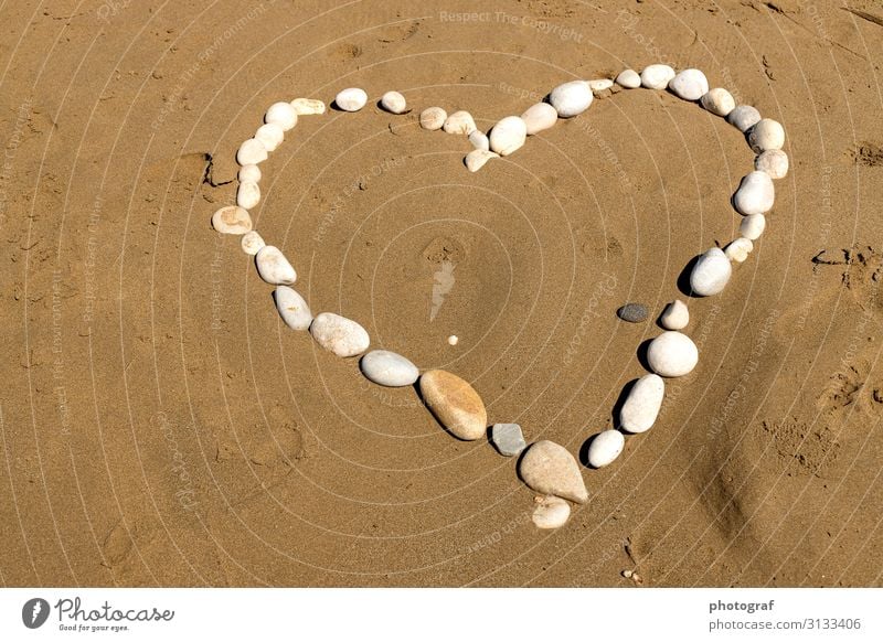 Herz Umwelt Natur Urelemente Sand Stein berühren Bewegung Duft genießen hängen Küssen Lächeln lachen Liebe Gesundheit Glück positiv Freundschaft Zusammensein