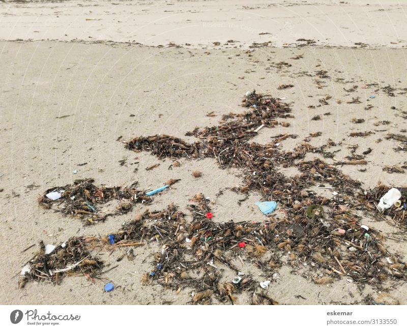 Plastikmüll am Strand Insel Umwelt Sand Küste Verpackung Tube Kunststoffverpackung Müll Kunststoffmüll Schmutz Dreck trashig trist viele braun Traurigkeit Sorge