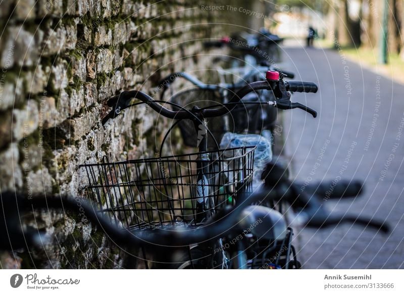 Fahrräder an einer groben Mauer aus Ziegelsteinen. Sport Fahrradfahren Dorf Stadtrand Wand Stahl Rost Leder Diät Arbeit & Erwerbstätigkeit gebrauchen nachhaltig
