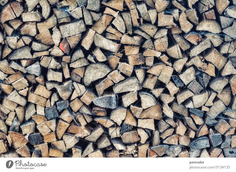 hochstapeln Sammlung Holz Design nachhaltig Natur sparsam Überleben Holzstapel Vorrat Winter heizen Farbfoto Gedeckte Farben Außenaufnahme Nahaufnahme