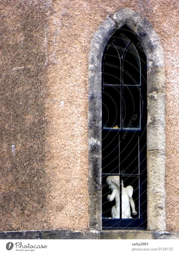 systemrelevant | Schutzengel... Engel Kirche Fenster Figur Statue weiß Glaube Religion Kirchenfesnter schmal Hoffnung beten Gebet Religion & Glaube Christentum