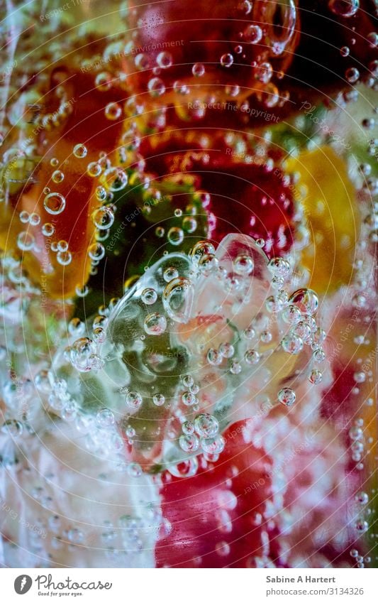 Bunte Farben mit weißen Luftbläschen im Wasser Luftblasen Tropfen Farbenspiel leuchten ästhetisch außergewöhnlich Fröhlichkeit hell einzigartig modern positiv
