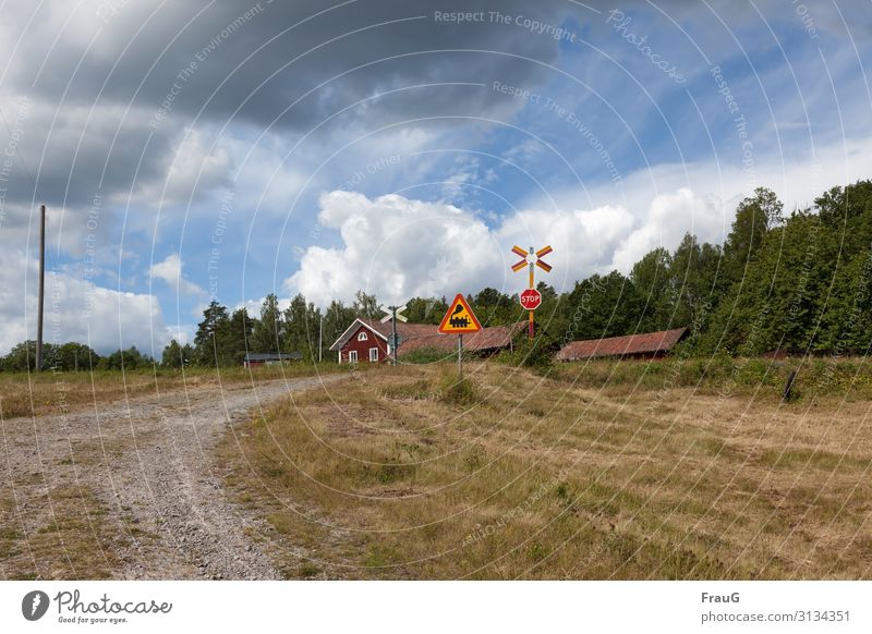 Weg zum Bahnübergang in Schweden Steine Schotter Gras Häuser Gebäude Verkehrsschild Gefahrzeichen Stoppschild Wald Mast Leitungen Himmel Wolken Landschaft