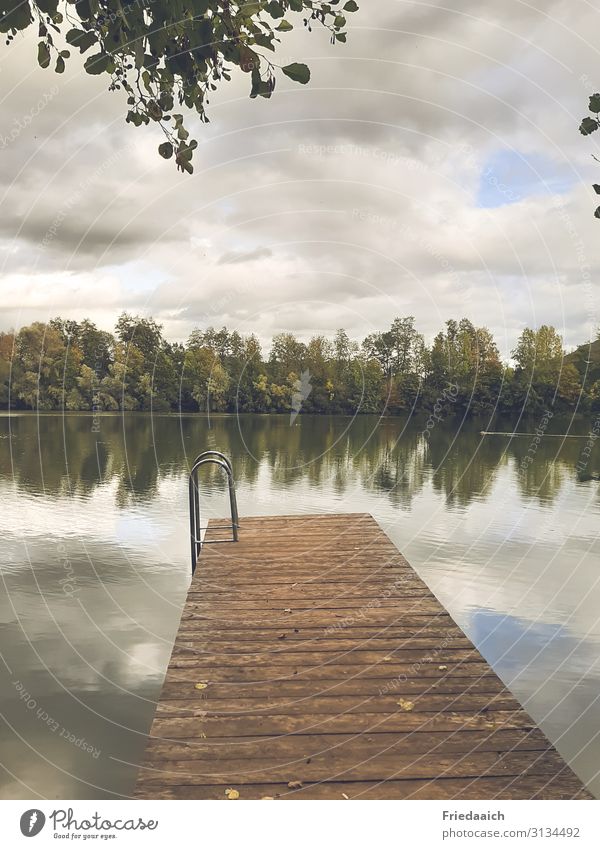 Spiegelung im See Ausflug Schwimmen & Baden Joggen Natur Landschaft Wasser Himmel Wolken Herbst Seeufer Erholung Bewegung Freizeit & Hobby ruhig Farbfoto