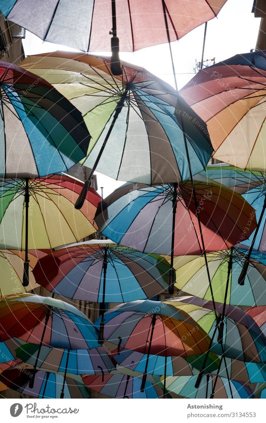 Regenschutz Kunst Luft Himmel Bukarest Rumänien Regenschirm Souvenir Kunststoff fantastisch oben Stadt blau mehrfarbig rot Wetter viele Ferien & Urlaub & Reisen