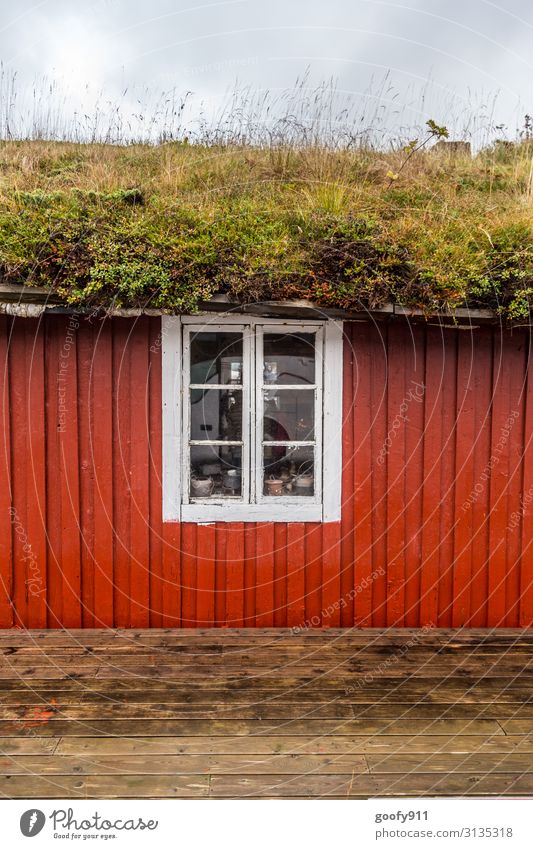 Bewachsen Ferien & Urlaub & Reisen Natur Himmel Wolken Pflanze Gras Sträucher Moos Wiese Hütte Fassade Fenster Dach Dachrinne Holz entdecken verblüht elegant