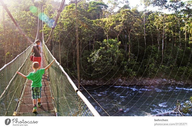 gemeinsam unterwegs Unschärfe Gegenlicht Sonnenlicht Kontrast Licht Fernweh Höhenangst Hängebrücke Farbfoto Außenaufnahme Mut außergewöhnlich wandern Costa Rica