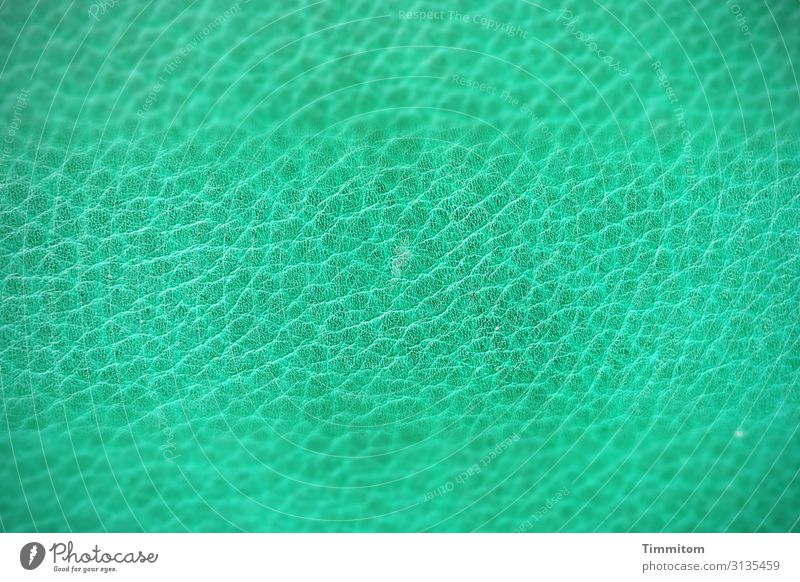 abgestorben | und lange besessen Leder grün Stuhl Ledersessel Innenaufnahme Farbfoto Menschenleer Sessel