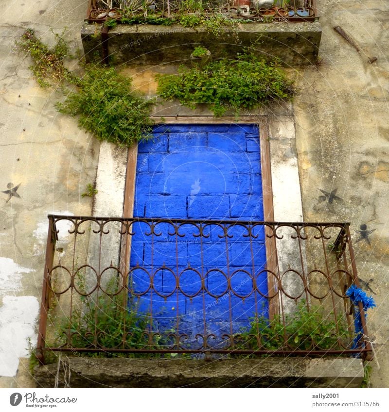 Kunst am Bau | bringt Farbe ins Leben... blau königsblau Balkon zugemauert Architektur Haus Fenster Wand Bauwerk Stadt Häusliches Leben Fassade verwildert