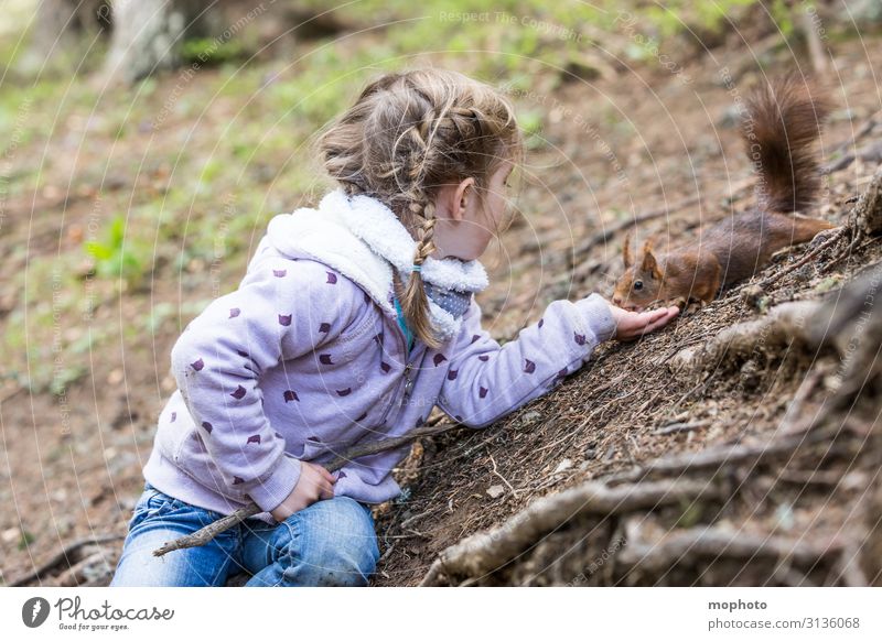 Eichhörnchen füttern #3 Ferien & Urlaub & Reisen Ausflug Kind Mensch feminin Kleinkind Mädchen Kindheit Hand 1 3-8 Jahre Natur Tier Baum Wald Wildtier Fressen