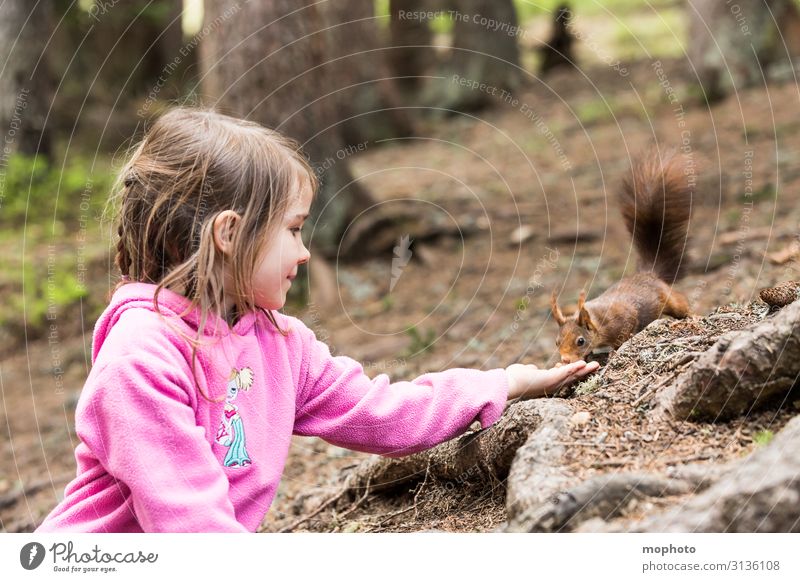 Eichhörnchen füttern #2 Ferien & Urlaub & Reisen Ausflug Kind Mensch feminin Kleinkind Mädchen Kindheit 1 3-8 Jahre Natur Tier Baum Wald Wildtier Fressen sitzen