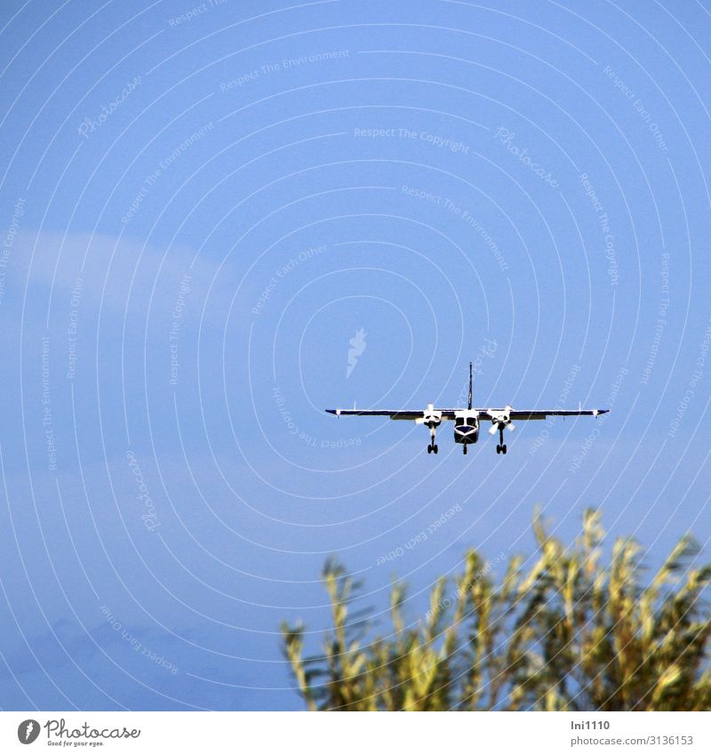 Starten und Landen von der Düne Natur Luft Himmel Sommer Nordsee Insel Luftverkehr Flugzeug Propellerflugzeug Flugplatz blau grün schwarz weiß Helgoland