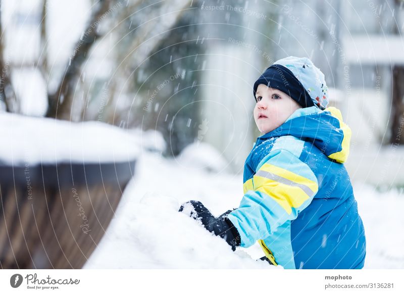 Junge im Schnee Lifestyle Freude Gesicht Spielen Winter Winterurlaub Garten Kind Mensch maskulin Kleinkind Kindheit 1 1-3 Jahre 3-8 Jahre Natur Wetter Eis Frost