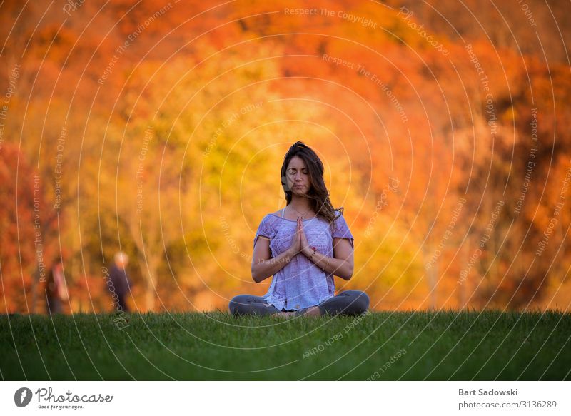 Herbstfarben Outdoor Meditierende Frau Freude Gesundheitswesen Alternativmedizin harmonisch Wohlgefühl Erholung ruhig Meditation Yoga Erwachsene 1 Mensch