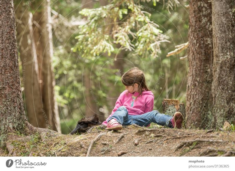 Eichhörnchen füttern #1 Kind Mensch Kleinkind Mädchen Kindheit 3-8 Jahre Natur Tier Baum Wald Wildtier Fressen sitzen warten Freundlichkeit natürlich Neugier