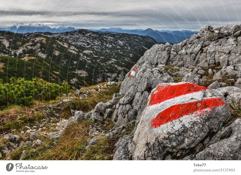 Österreicher Klettersteig Umwelt Natur Landschaft Pflanze Hügel Felsen Berge u. Gebirge Gipfel Abenteuer ästhetisch klettersteig Farbfoto Außenaufnahme Abend