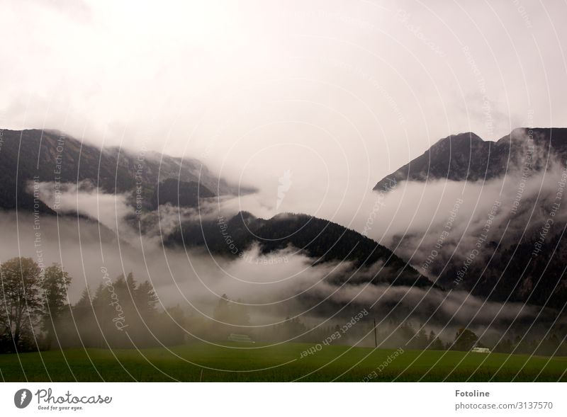 vernebelt Umwelt Natur Landschaft Pflanze Urelemente Erde Himmel Wolken Herbst Baum Gras Felsen Berge u. Gebirge Ferne natürlich grün schwarz weiß Österreich