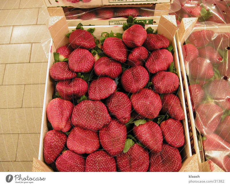 Erdbeeren Stillleben rot Gesundheit