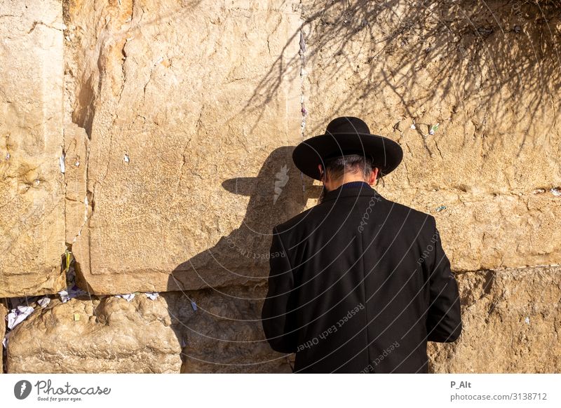 Klagemauer II Mann Erwachsene Kopf Bart Rücken 1 Mensch Jerusalem Israel Mauer Wand Akzeptanz Religion & Glaube Gebet vertiefen Farbfoto Außenaufnahme Tag