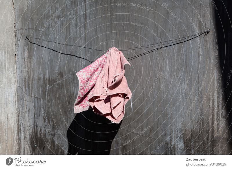 Rosa Handtuch auf grauem Grund Schwimmen & Baden Mauer Wand Tuch Wäscheleine Seil einfach Glück klein niedlich Originalität positiv rosa authentisch beweglich