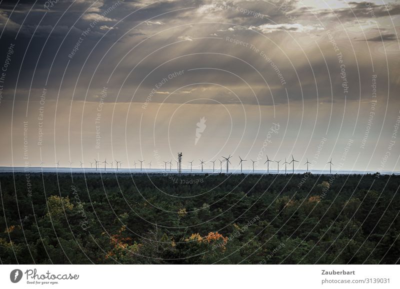 Windräder am Horizont unter dramatischem Himmel Energiewirtschaft Windkraftanlage Energiekrise Wolken Klima Klimawandel Wald beobachten grau grün achtsam