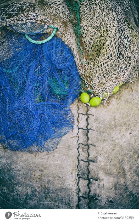 Netz 4 Angeln Fischereiwirtschaft Kescher Gebiss fangen einfangen Einsatz Netzwerk Lebensmittel Meeresfrüchte Ernährung Gesunde Ernährung Speise Mittagessen