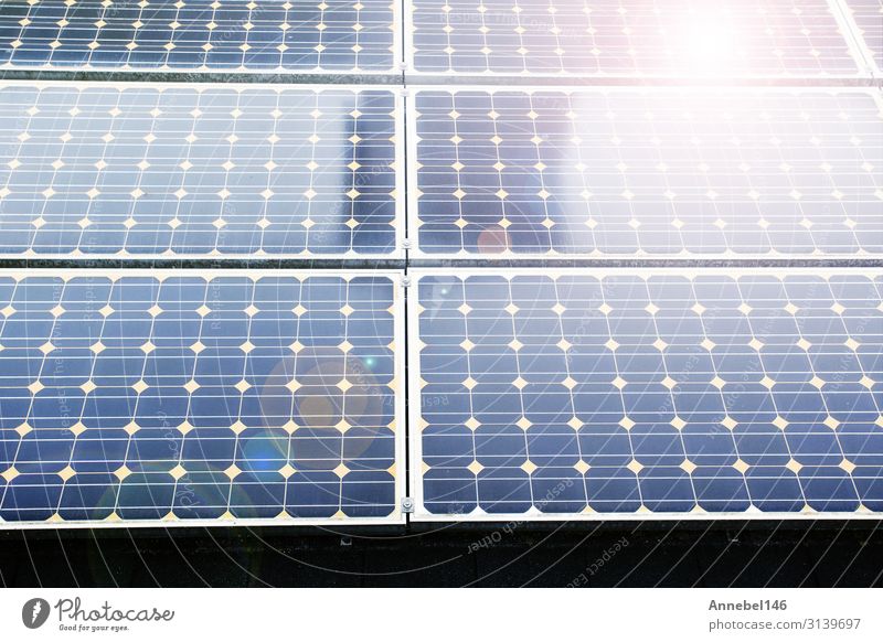 Textur des Solarpanelhintergrunds von Photovoltaikmodulen, schön Sommer Sonne Wissenschaften Industrie Business Technik & Technologie Umwelt Natur Pflanze
