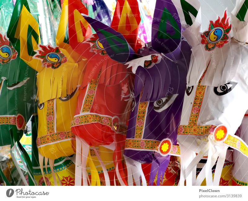 Pferde Lifestyle Design exotisch Ferien & Urlaub & Reisen Tourismus Ferne Kunst Kunstwerk Maske Blick verrückt schön mehrfarbig Freizeit & Hobby Farbfoto