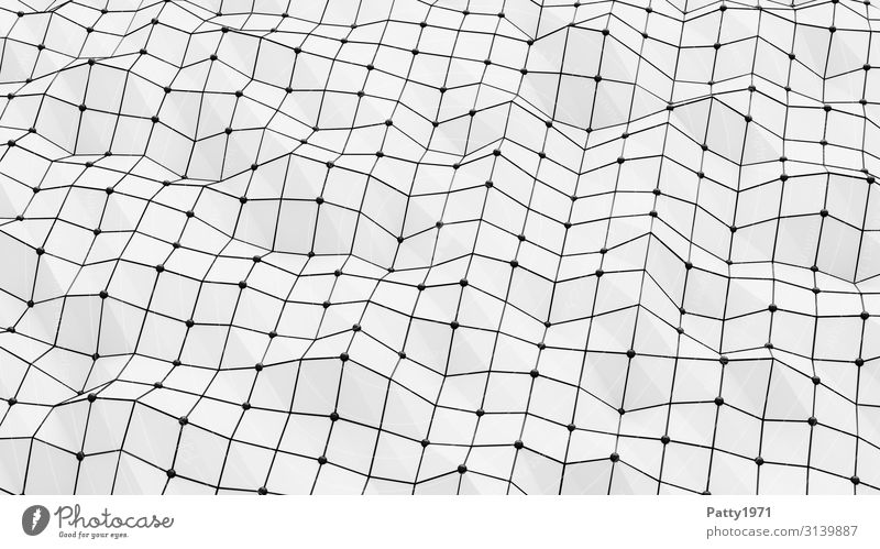 Wireframe - 3D Render Technik & Technologie Drahtgitter Oberflächenstruktur Strukturen & Formen Netz Netzwerk eckig Bewegung bizarr komplex Surrealismus
