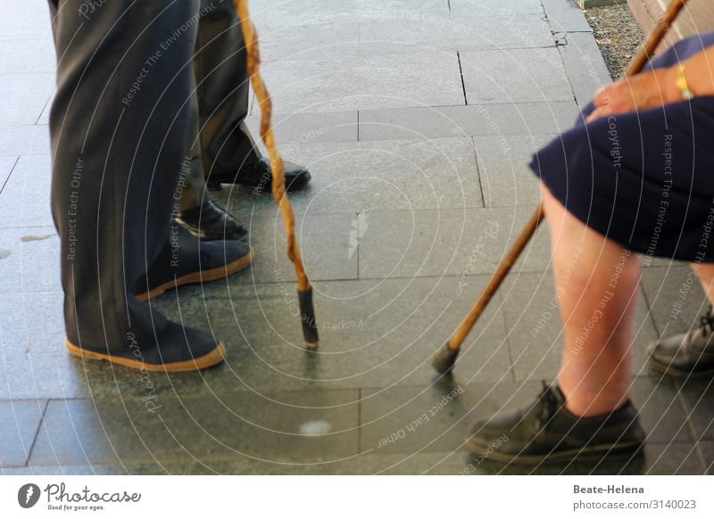 "Noch gut bei Stock": Begegnung alter Menschen mit Gehstöcken Beine Füße Alte Gehstock Pause Rast Gangsicherheit Erholung Frau Außenaufnahme Mann Bank sitzen