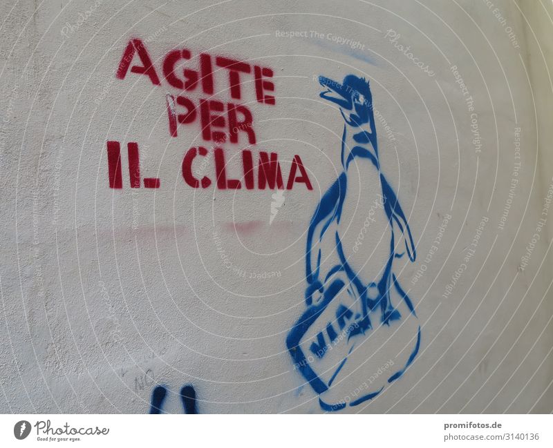 Klimakrise: Italienisches Graffiti, das sagt: Kampf um das Klima Kunst Kunstwerk Klimawandel Wetter Tier gut modern blau rot Hilfsbereitschaft Todesangst